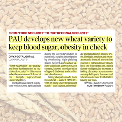 PBW RS1 is a newly developed, nutritionally enhanced wheat variety from the Punjab Agricultural University (PAU) in Ludhiana