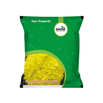 SHINE MARIGOLD BREZZA YELLOW F1 SEEDS