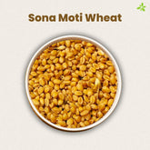 Sona Moti Emmer Wheat