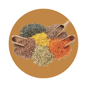 Pulses/Dal
