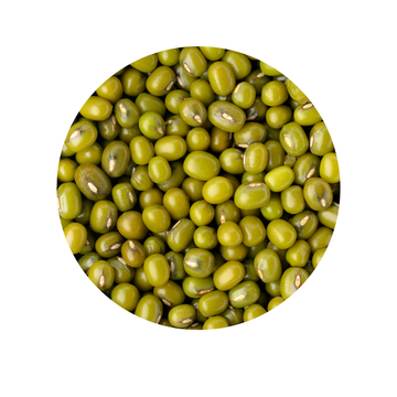 Moong