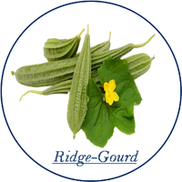 Ridgegourd