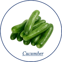 Cucumber
