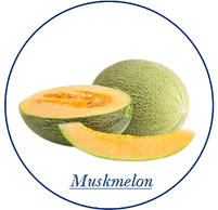Muskmelon