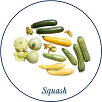 Squash
