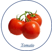 Tomato