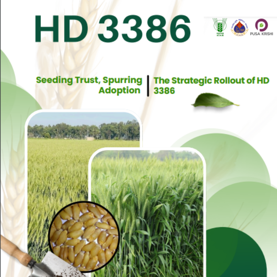 HD3386 Wheat – The Next-Gen Choice for Profitable Harvests