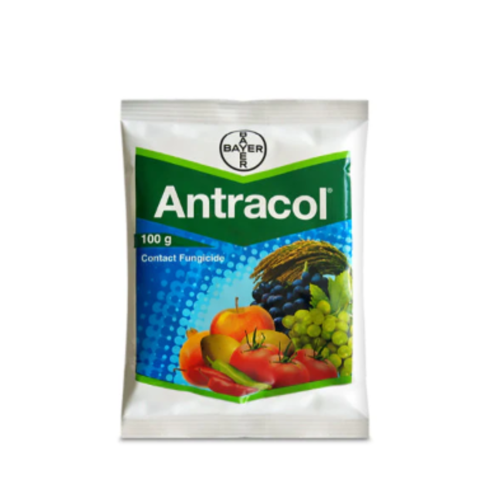 Antracol Fungicide – Propineb 70% WP for Vegetables, Fruits & Paddy