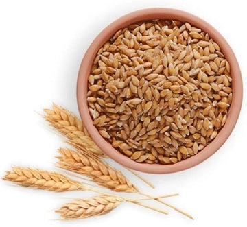 Bansi Wheat-Seeds for Sowing/Agriculture (Kheti खेती)