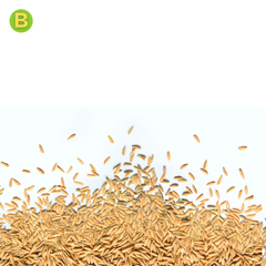 Basmati seeds | Villkart