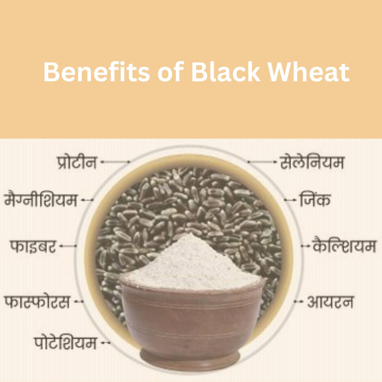 Fresh Chakki Black Wheat Flour (Atta)