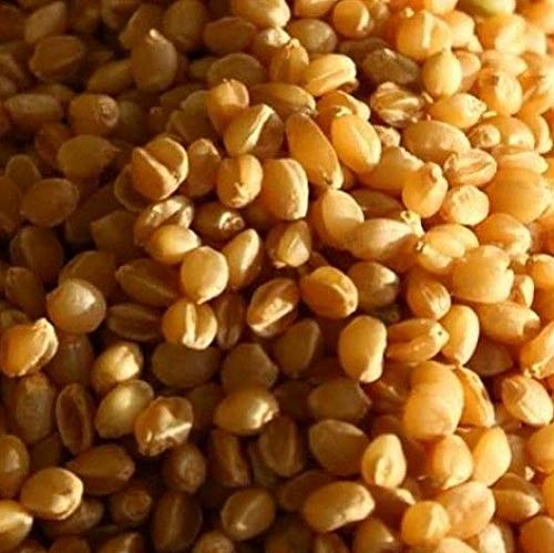 Sona Moti Chakki Wheat Flour/Atta