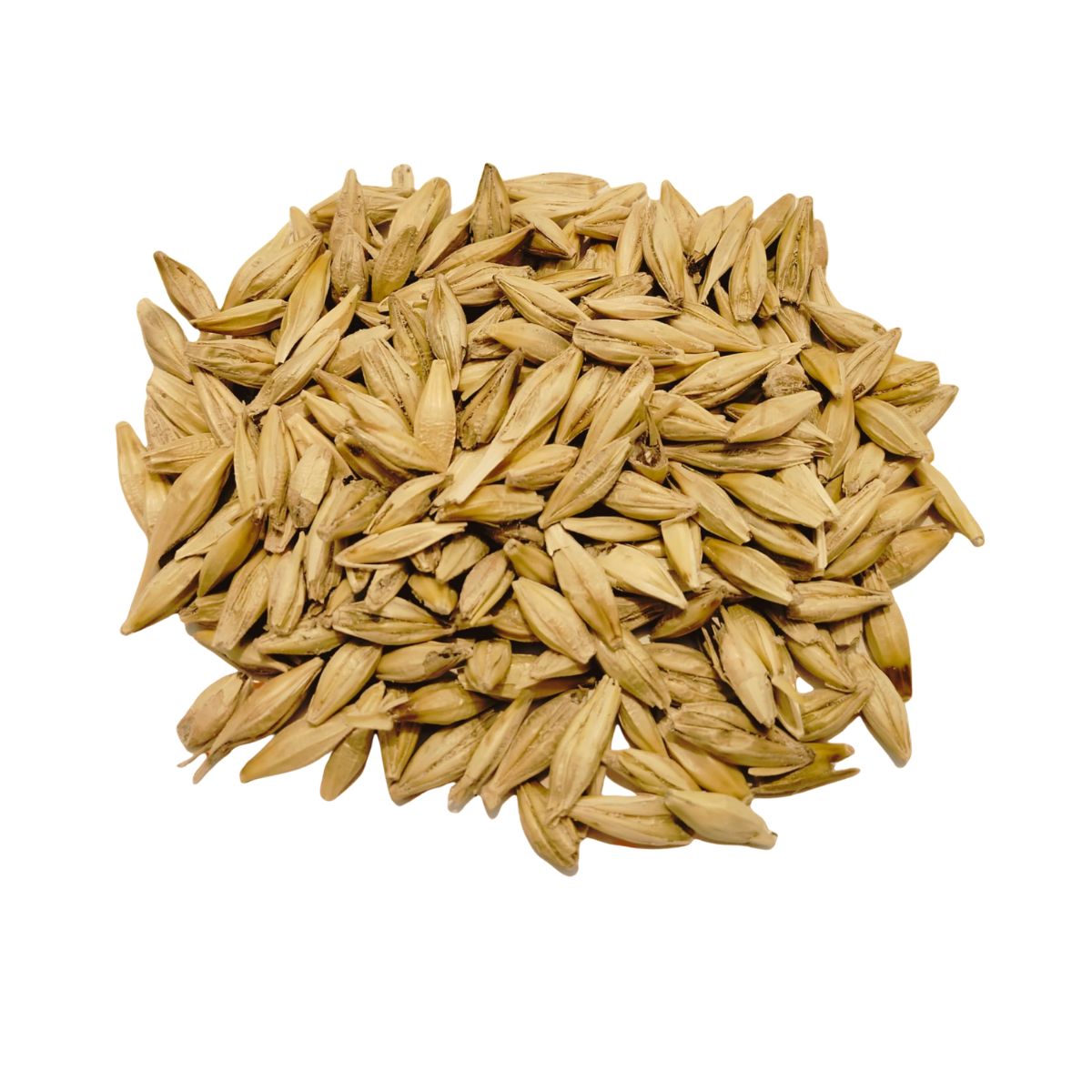 Jau (Barley) Millet