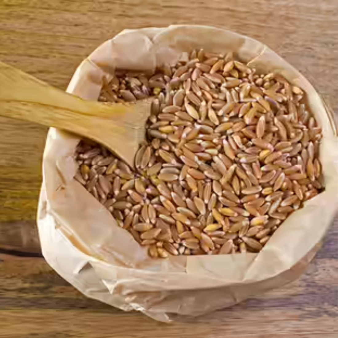 Khapli Whole Wheat (Naturally Grown)
