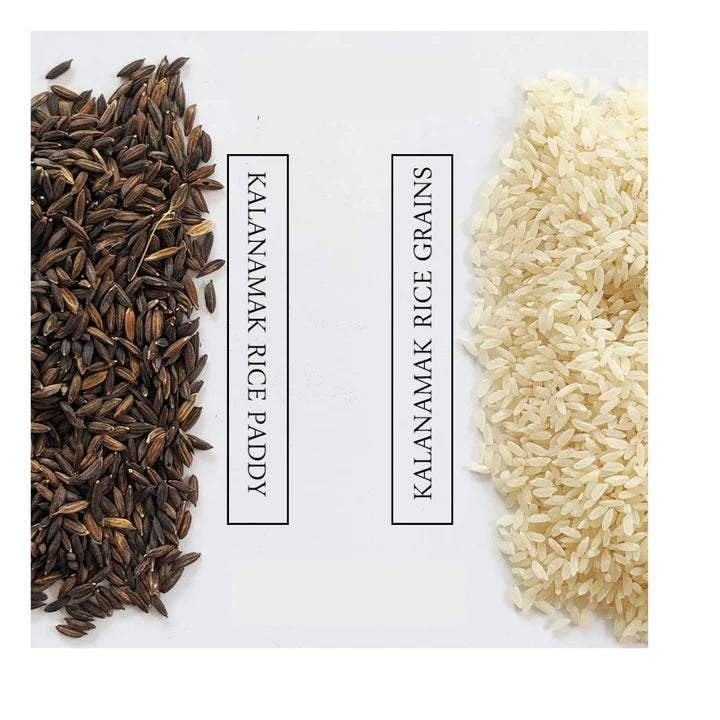 Kalanamak Rice Low GI Rice