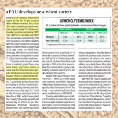 PBW RS1 is a newly developed, nutritionally enhanced wheat variety from the Punjab Agricultural University (PAU) in Ludhiana