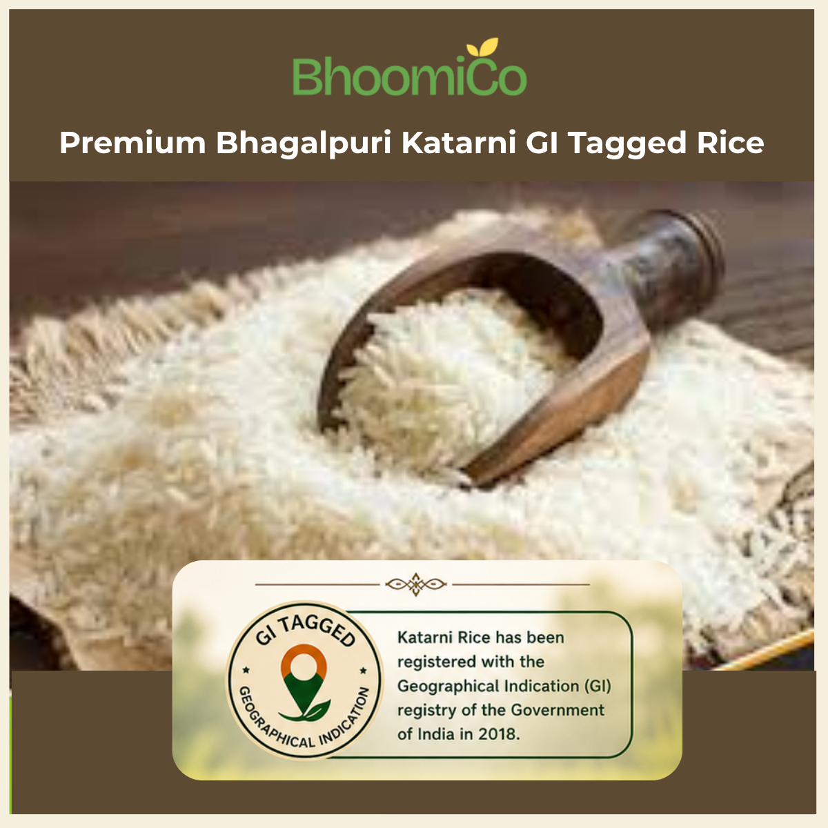 Katarni Rice GI Tagged Rice