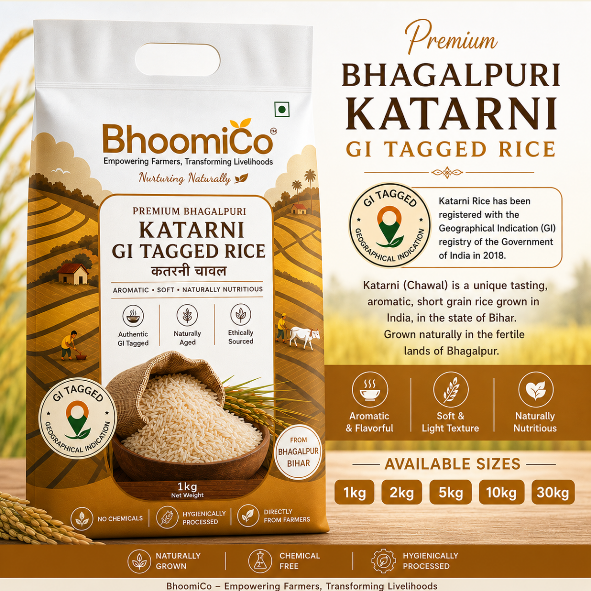 Katarni Rice GI Tagged Rice