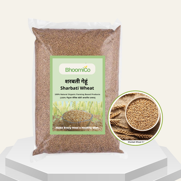 Sharbati Wheat Whole Naturally Grown