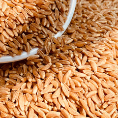 Khapli Wheat-Emmer-Seeds for Sowing/Agriculture (Kheti खेती)