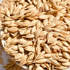 Khapli Wheat-Emmer-Seeds for Sowing/Agriculture (Kheti खेती)
