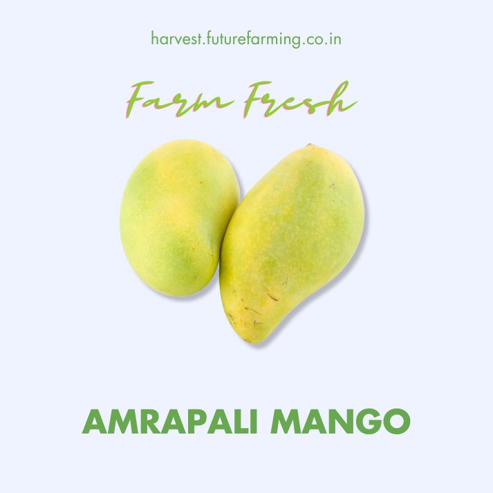 Amrapali Mango FutureFarming