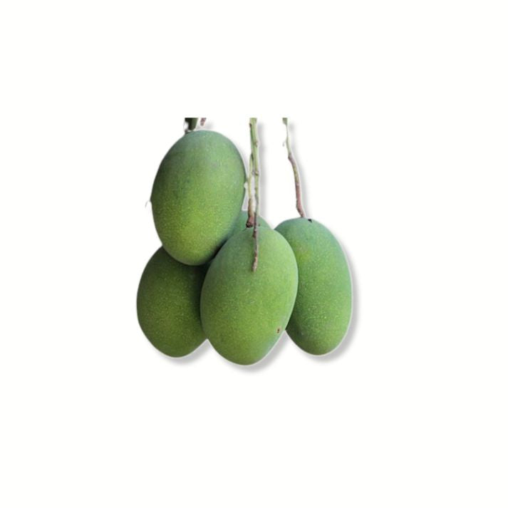 Amrapali Mango FutureFarming