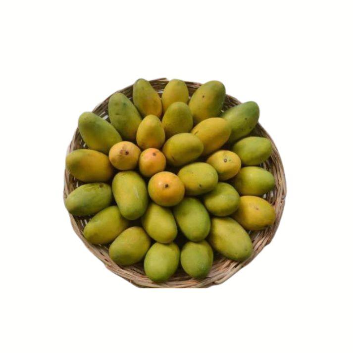 Dasheri Mango FutureFarming