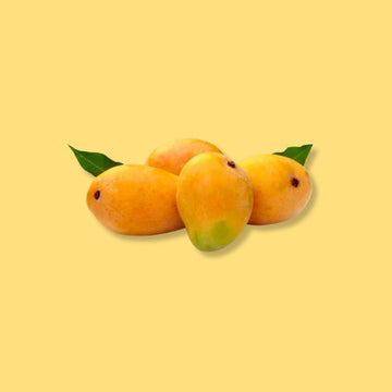 Devgad Alphonso Mango FutureFarming