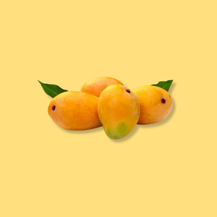 Devgad Alphonso Mango FutureFarming