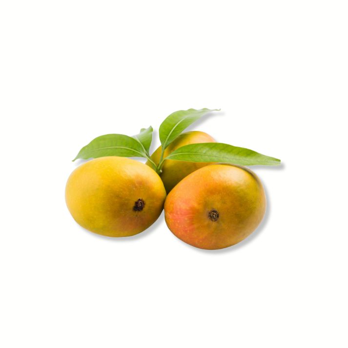 Devgad Alphonso Mango FutureFarming