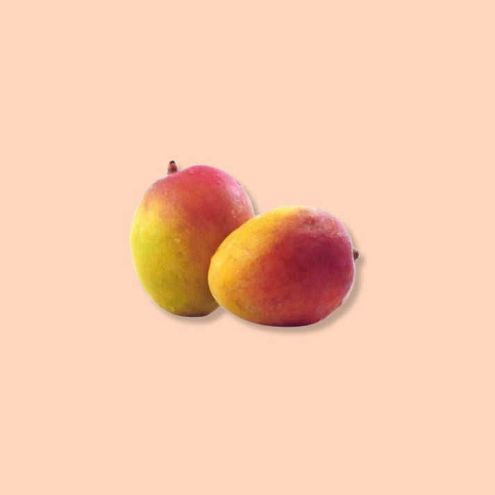 Gulab Khas Mango FutureFarming