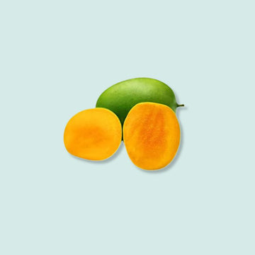 Dudhiya Malda Mango | FutureFarming | Bhoomico
