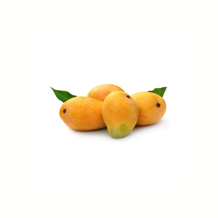 Dudhiya Malda Mango | FutureFarming | Bhoomico