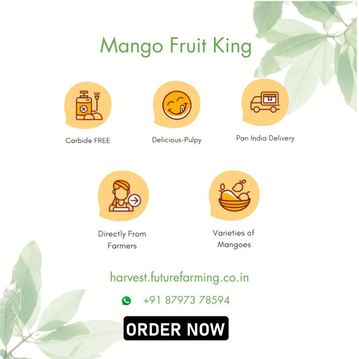 Mango | FutureFarming | Bhoomico
