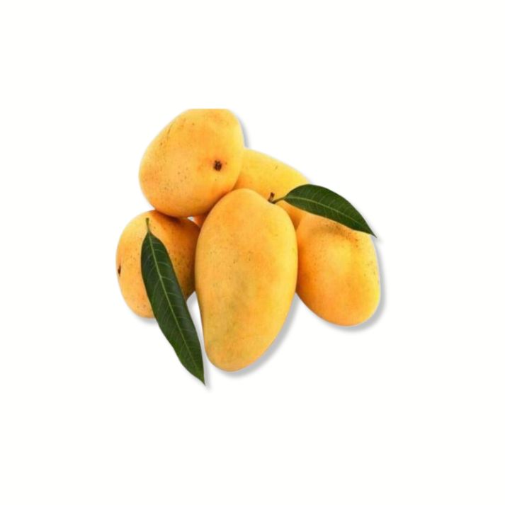 Mallika Mango FutureFarming